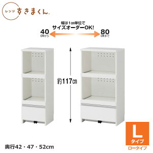 W܂@W@Lb`[@RSPV[Y@[^Cv@L^Cv@1cm݂ŃI[_[\@J[S14F@{@MDF@F@ωV[g@Z~I[_[Ƌ@