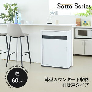 JE^[[ ^ Lrlbg  JE^[ Lb` 60 s22 80cm t HI I X  [^[ RZg KXAA͕̕