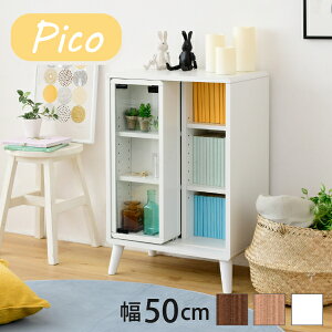 XCh bN 50 s30 73 Pico [ Lrlbg rt {I R~bNbN ɖ{  l炵 킢 [^Cv I[vbN IAA̕