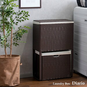ランドリーボックス ダストボックス 収納箱 脱衣室 2段分別 ポリエチレン、スチール(粉体塗装)綿 ダークブラウン アイボリー ブルー 完成品