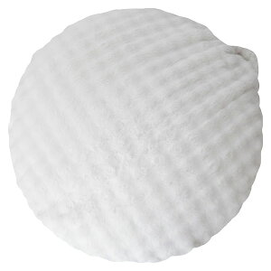 ӂƂr[YNbV@@@Q@M{[@}CNt@Co[@zCg@x[W@sN@O[@Jo[O@􂢐