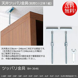 ycbpzBH|3646nC^Cv̉ƋɂgBϐkp