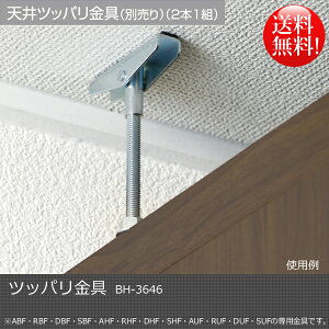 ycbpzBH|3646nC^Cv̉ƋɂgBϐkp