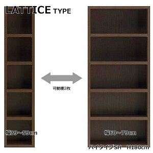 ySTRONG SHELF@XgOVFt@nC^CvSL(180cm)z4FII@A4[@I[vbN@LATTICE TYPE@`X^Cv@{@i@ŏʓKiiFF@R`