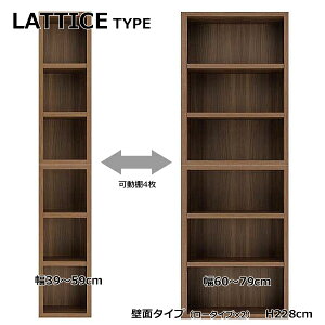 ySTRONG SHELF@XgOVFt@ǖʃ^Cv(228cm)i[^CvSL×2dˎdljz4FII@A4[@I[vbN@LATTICE TYPE@`X^Cv@{@i@ŏʓ