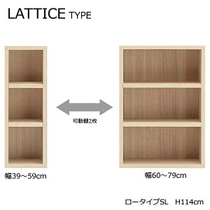 ySTRONG SHELF@XgOVFt@[^CvSL(114cm)z4FII@A4[@I[vbN@LATTICE TYPE@`X^Cv@{@i@ŏʓKiiFF@R`