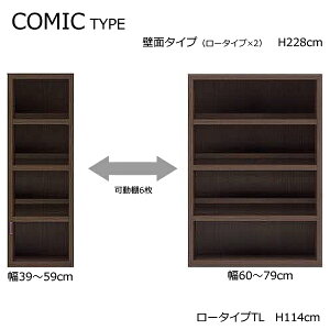 ySTRONG SHELF@XgOVFt@[^CvTL(114cm)z4FII@A4[@I[vbN@COMIC TYPE@R~bN^Cv@{@i@ŏʓKiiFF@R