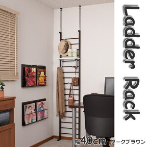 _[bN@˂p[e[V@˂胉bN@40cm@_[NuEt[zCgI@Vo[t[zCgI@AC{[t[i`I