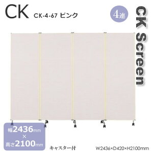 4@^Cv@CK^ǎ^CvXN[@LX^[t@rj[ǎ@O[@x[W@sN@2436mm@2100mm