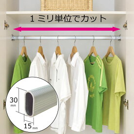 ハンガーパイプ(1m) カット無料【パイプ受け2個セット】1ミリ単位でカットします クローゼット パイプ 2段 追加パイプ 収納術 有効利用 吊り下げ収納 ハンガーラック 後付けパイプ 追加パイプ 楕円アルミパイプ