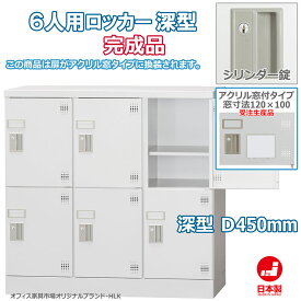 受注生産品 ロッカー 6人用 横型 3列2段 多人数用 スチールロッカー 収納 完成品 深型 シリンダー錠 アクリル窓付き 鍵付き オフィス家具市場オリジナル製:HLKシリーズ 送料無料 W900xD450xH880 新品 オフィス家具