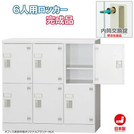 受注生産品 ロッカー 6人用 多人数用 スチールロッカー 収納 完成品 横型 3列2段 内筒交換錠 鍵付き オフィス家具市場オリジナル製:HLKシリーズ 送料無料 W900xD380xH880 新品 オフィス家具