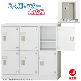 ロッカー 6人用 横型 3列2段 多人数用 スチールロッカー 収納 完成品 シリンダー錠 鍵付き オフィス家具市場オリジナル製:HLKシリーズ 送料無料 W900xD380xH880 新品 オフィス家具