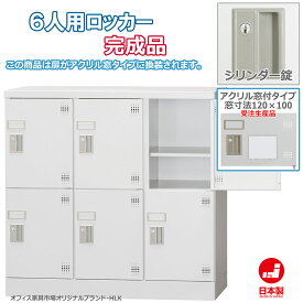 受注生産品 ロッカー 6人用 横型 3列2段 多人数用 スチールロッカー 収納 完成品 シリンダー錠 アクリル窓付き 鍵付き オフィス家具市場オリジナル製:HLKシリーズ 送料無料 W900xD380xH880 新品 オフィス家具