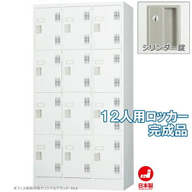 ロッカー 12人用 スタンダードロッカー 収納 完成品 シリンダー錠 鍵付き オフィス家具市場オリジナル製:HLKシリーズ 送料無料 W900xD515xH1790 新品 オフィス家具