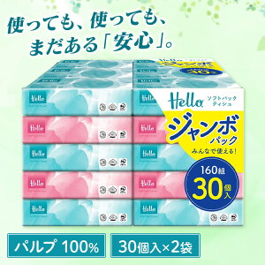 �y�P�[�X�̔��z�n���[ �\�t�g�p�b�N�e�B�b�V�� 160�g 30��×2�p�b�N 5221-case�e�B�b�V�� �e�B�b�V���y�[�p�[ ���Ȃ� �\�t�g�p�b�N�e�B�b�V�� �n���[�e�B�b�V�� �\�t�g�p�b�N �e�B�b�V����e�� 