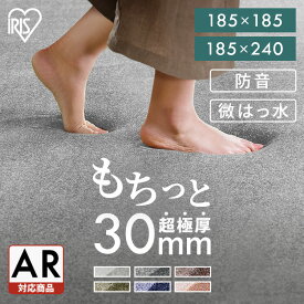 ラグ ラグマット 2畳 厚手 北欧 おしゃれ カーペット オールシーズン ホットカーペット対応 滑り止め付 極厚 185×185 3畳 185×240 長方形 ペット 正方形 アイリスオーヤマ ACRB-1818 ACRB-1824*【AR対象】 [2603SE]