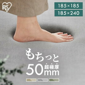 ラグ 厚手 ラグマット 2畳 3畳 北欧 おしゃれ カーペット オールシーズン ホットカーペット対応 防音 超極厚 50mm 韓国 リビング 滑り止め ムートン アイリスオーヤマ *