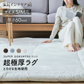 《10%OFF》 超極厚 60mm ラグ 厚手 2畳 3畳 1.5畳 185×185 200×250 130×185 ラグマット 滑り止め 防音 北欧 おしゃれ かわいい 冬 高反発 極厚 ペット もっちり もちもち ふわふわ ダイニング カーペット 絨毯 マット フランネル [2603SE]