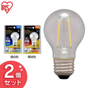【2個セット】LEDフィラメント電球 ミニボール球タイプ E26 25形相当 LDG2N-G-FC LDG2L-G-FC 昼白色相当 電球色相当 電球 照明 LED ライト Light 電気 電灯 あかり 明かり 灯り 室内 屋内 部屋 raito denki den