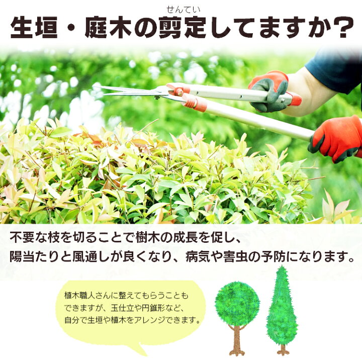 楽天市場 充電式ヘッジトリマー ホワイト Jht350 送料無料 ヘッジトリマー 充電式ヘッジトリマー 生垣バリカン 剪定バリカン のこぎり ノコギリ 電動 軽量 生垣 剪定 刈り込む 刈り込み機 刈払機 庭 お手入れ アイリスオーヤマ 家具インテリア館