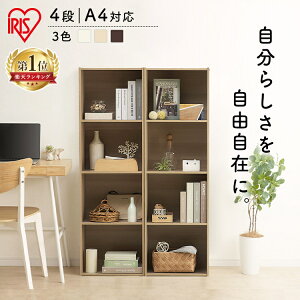 [{bNX [I  J[{bNX A4 l炵 4i {bNX BOX o X I rO[ J[{bNX4i 41.4×s29.0×134.6cm CX-4F {I  [ ВI