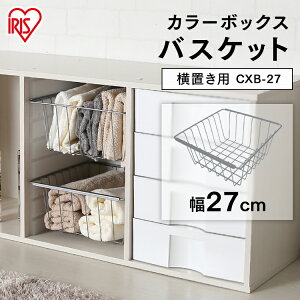 カラーボックス バスケット メッシュ メタル スチール 横置き用 パーツ DIY アイリスオーヤマ【CXB-27】幅27×奥行27×高さ13cm 一人暮らし