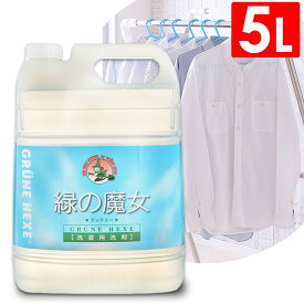 洗濯洗剤 緑の魔女 ランドリー 5L 洗剤 せんざい 洗濯 洗濯用洗剤 液体 洗剤 業務用 洗濯洗剤 衣類用 家庭用