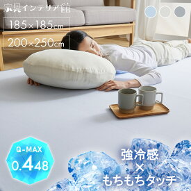 ラグ 夏用 ラグマット カーペット 冷たい 滑り止め 絨毯 接触冷感 185×185 200×250 2畳 3畳 おしゃれ 滑り止め付 ひんやり 北欧 冷感 夏 涼しい クール もっちり 敷物 正方形 長方形 滑りにくい 抗菌 可愛い 無地