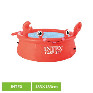 yXő79%OFF^őP20{zv[ rj[v[ qp ƒpv[ CebNX INTEX Ct[^u qǂpv[ qpv[ t@~[v[ LbYv[ q V 
