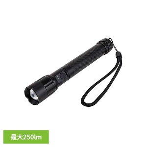 yXő79%OFF^őP20{zLEDA~Cg DOP-EP520ELPA Gp d  Cg h ЊQ ً} drc CWP[^[ d튔