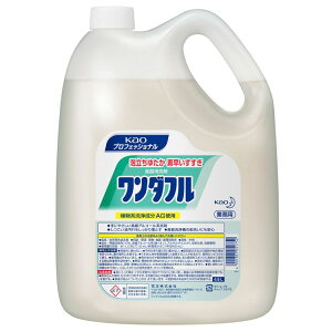 _t 4.5kg Ɩp  H An @ AG Kao O vtFbVi AR[n