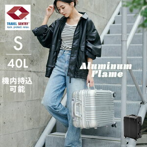 X[cP[X @ STCY A~t[ 킢 L[P[X 40L 4.7kg L[obO @ y s o TSAbN _C _uLX^[ 8 I[g^[@\ A
