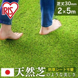 lH 2m×5m ACXI[} hV[ǧ^ Ő [ 10 ŏ30mm RP-3025 IP-3025 lHŐ  lHŕ }bg Ő A x_ ybg h HŃ}bg Ő}bg 200cm×500cm