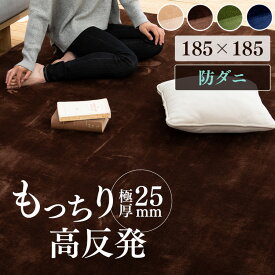 《14%OFF》 ラグ 北欧 おしゃれ ラグマット ラグ 厚手 オールシーズン 2畳 高反発ラグ 185×185cm フランネルラグ カーペット 絨毯 高反発 185 滑り止め 防ダニ 正方形 グリーン ブラウン ベージュ ネイビー アウトレット [2603SE]