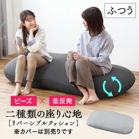 ビーズクッション おしゃれ シンプル 一人暮らし ビーズクッション 中身 詰め替え 中材 本体 RBC-EUR-M リバーシブル 本体 単品 カバー別売 低反発 ビーズ クッション ソファ もっちり ふつう 2P アイリスオーヤマ 一人暮らし [2604SO]