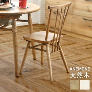 nora m anemone All _CjO`FA ؐ k 336426 CX `FA VR k _CjO ֎q i` x[VbN X|[N`FA ։Ƌ i` zCg l炵yTDz