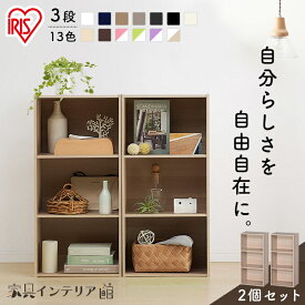 【2個セット】カラーボックス 3段 2個セット アイリスオーヤマ 横置き収納 幅41.5 奥行29 収納ボックス 棚 収納 収納棚 本棚 漫画 CD リビング 子供部屋 おもちゃ ラック シェルフ 縦置き ランドリー収納 新生活 三段 3段ボックス CX-3 *