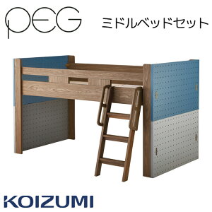 xbh ~hxbh PDM-618WO RCY~ yO PEG ~hxbhp[c yO{[hPDA-697 PDA-698 2025N  [ q