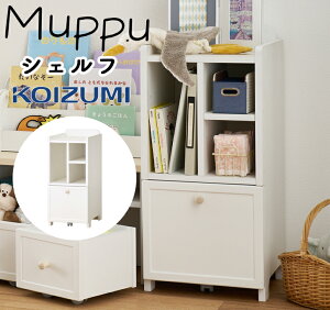 RCY~ 2025N VFt LbY [bN ЕtbN VFt c wKfXN Vv k RpNg ׋ q qǂ q ̎q  Jo RCY~ 2025N Muppu 