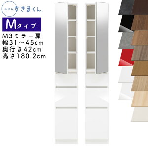yJݒutzX܂ M^Cv ~[Lrlbg 31`45cm s42cm 180.2cm M3 JiM3Lj EJiM3Rj SSDi IׂJ[   [ Lb` ʏ rO f