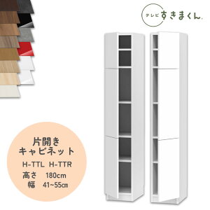 yJݒutzer܂ LSD-H-TTL/R ЊJLrlbg er{[h rO TV{[h TCYI[_[i fbgXy[X Lp er o [ {I[_[i