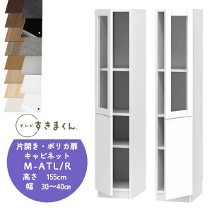 yJݒutzer܂ LSD-M-ATL/R ЊJE|JLrlbg er{[h rO TV{[h TCYI[_[i fbgXy[X Lp er o [ {I