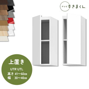 �e���r�����܂��� LSD-UT L/R ��u�� �e���r�{�[�h ���r���O TV�{�[�h �T�C�Y�I�[�_�[�i �f�b�g�X�y�[�X �L�����p���I�[�_�[�i�̂��߃L�����Z���s��30-40cm ����41-60cm ���s42.2cm