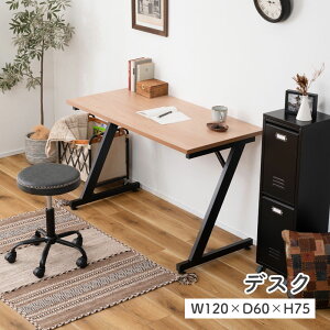 fXN p\RfXN 120cm wK ׋   ؖڒ i` X`[r ItBXfXN VvfXN e[u ݑΖ e[N [g[N AWX^[ J f