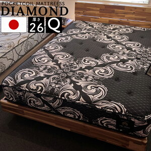 }bgX NC[ Q 26cm |PbgRC QԂ Q ̈U h_j R hL킽 { xbh}bg ubN ݔz RC 1008i504×2jOc _Ch NC[