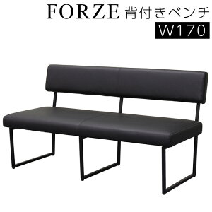 _CjO`FA x` `FA 2l| 170cm Hp _CjO H֎q ֎q _CjO`FA[ k ֎q  NbV PVC CX _  VM} FORZE tH[[ 170 wt