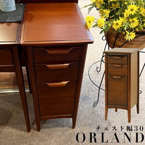 `FXg 30cm o 3i [I [  Vv ؐ ؖڒ rO`FXg ^X  rO[ i  k Be[W [sA ~bhZ`[ }z