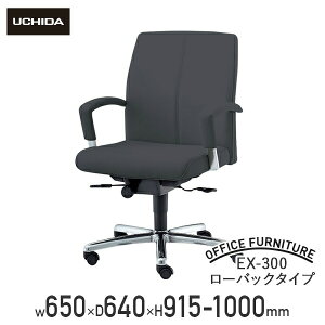 y@lzy[J[izEX-300 [obN^Cv W650 D640 H915-1000 It }l[Wg`FA В֎q ֎q d֎q }lWg`FA GO[NeBu`FA ~[eB