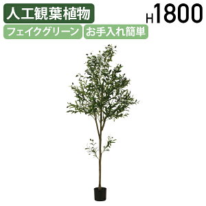 yzztFCNO[ I[u W600 D600 H1800 lHϗtA tFCNO[  G CeAO[   Vbv I[u  AȎ bNX 